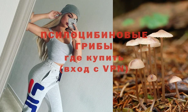 mix Арсеньев