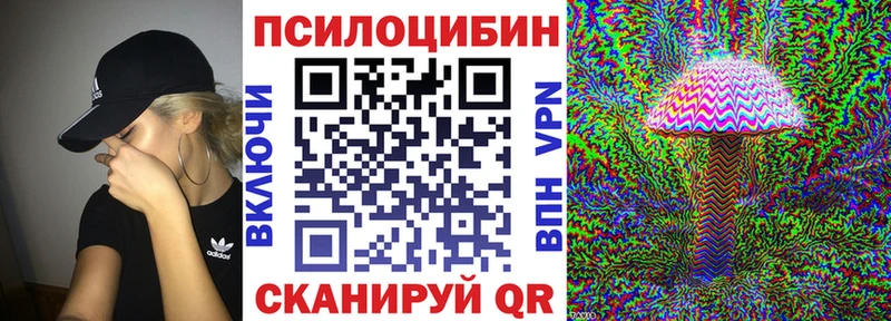 маркетплейс телеграм  Тара  Псилоцибиновые грибы GOLDEN TEACHER 